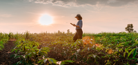 Tecnologia traz mais eficiência para a autorização do uso de agrotóxicos no país
