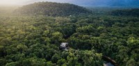 Governo federal lança tecnologia que facilita controle e fiscalização da exploração da madeira nativa brasileira